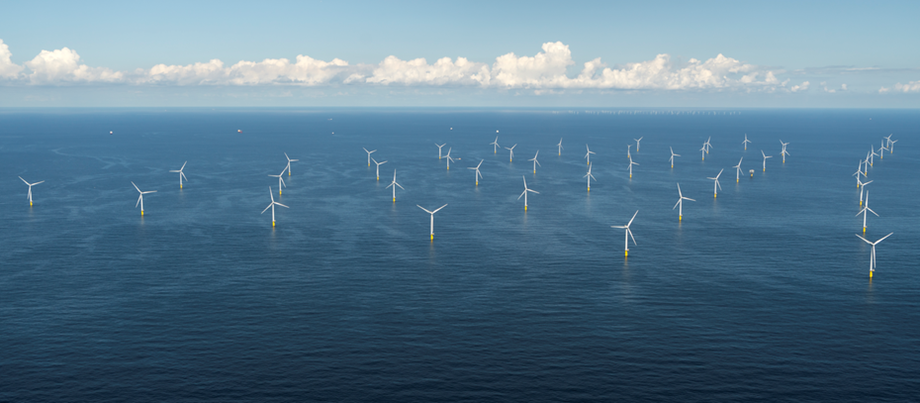 Baltic Power has held talks with potential suppliers on building supply chain for offshore wind project